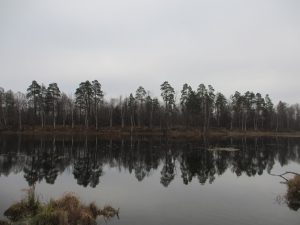 озеро Разгоньево