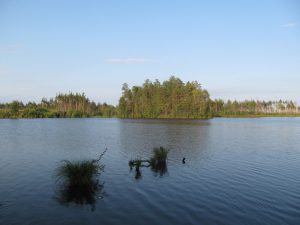 озеро Тоньки